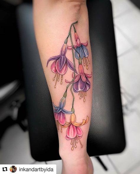 Gramma Jette. Fuchsia Fushia Tattoo Design, Fuschia Tattoo Design, Fuchsia Tattoo, Fuschia Flower Tattoo, Fuschia Tattoo, Fuchsia Hybrida, Fuchsia Plant, Orchid Tattoo, Flower Tattoo Meanings