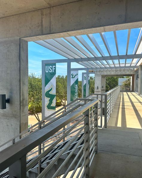 University Of South Florida Aesthetic, Usf Aesthetic, Uni Lifestyle, Dream University, College Goals, Usf Bulls, College Vision Board, College Tour, Colleges In Florida