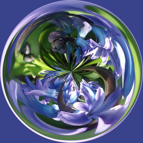 flower sphere Sphere Reference Photo, Flower Sphere, Floral Ice Spheres, Epoxy Sphere Flower, Orbs In Photos, Bubbles Photography, Iphone Wallpaper Glitter, Flower Circle, Art Glass Paperweight