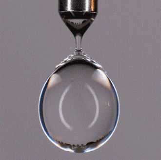 The dynamic surface tension of water Significant Figures, Surface Tension, Learning Process, Water Quality, New Things To Learn, Water Drop, Bubbles, Water, Bonn