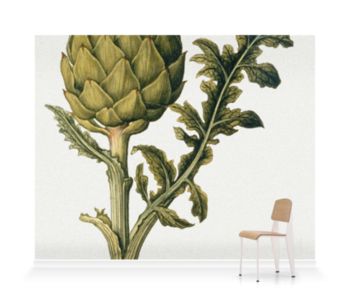 'Artichoke' Wallpaper Mural | SurfaceView Artichoke Wallpaper, Globe Artichoke, London Kitchen, Contemporary Wallpaper, A Wallpaper, Wallpaper Murals, Vintage Maps, Pink Walls, Wallpaper Mural