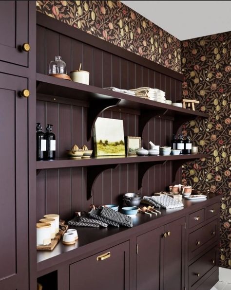 Dark Pantry, Pantry Inspiration, Purple Kitchen, Design Showroom, Farmhouse Remodel, Prep Kitchen, Kitchen Cabinet Colors, Pantry Design, Unique Kitchen