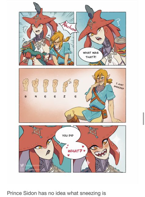 Sidlink Cute, Zelda Room Ideas, Legend Of Zelda Sidon, Sidlink Mpreg, Sidlink Comic, Sidlink Fanart, Totk Art, Zelda Comics, Prince Sidon