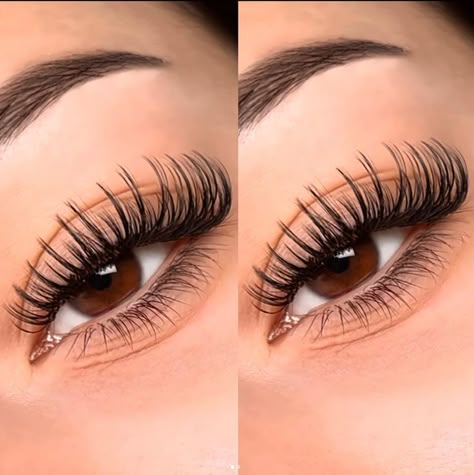 Lash Extensions Volume, Classic Lash Extensions, Types Of Eyelash Extensions, Extension Lashes, Eye Lash Extensions, Lash Lounge, Individual Lash Extensions, Mink Lash Extensions, Lash Extensions Styles