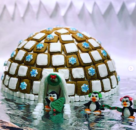 gingerbread house pinned by www.gingerbreadjournal.com Igloo Gingerbread House, Gingerbread Igloo, Gingerbread Waterfall, Ocean Gingerbread House, Gingerbread Lake House, Ice Castle Fish House, Gingerbread House Patterns, All Things Gingerbread, Cookie House