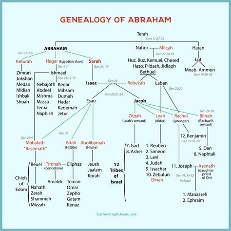 Bible Family Tree, Genesis Bible Study, Bible Genealogy, Bible Timeline, Revelation Bible, Bible Mapping, Bible Study Topics, Bible Study Help, Bible History