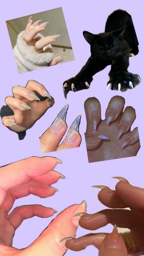 nails Cat Claw Acrylic Nails, Cute Cat Nails, Claw Nails Designs, Cat Claw Nails, Dc Oc, Claw Nails, Dragon Claw, Cute Makeup Looks, Cat Nails