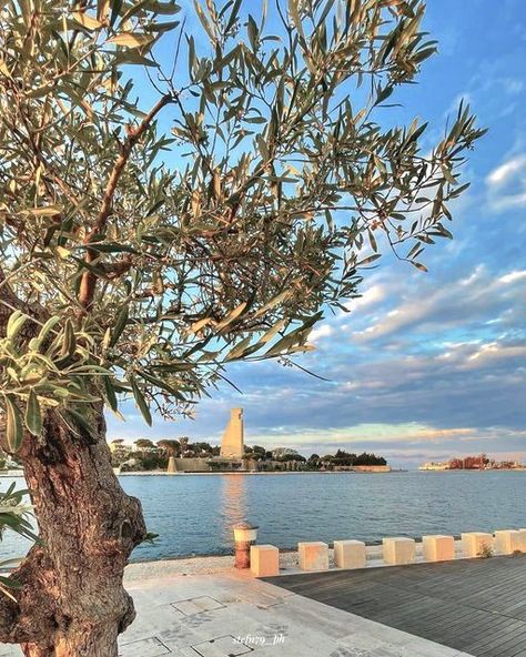 Beautiful Brindisi. #Beautiful #Brindisi #port #apulia #city #exterior #design #monochrome #masseria #lamia #lighting #puglia #lifestyle #architecture #olivetree City Exterior, Brindisi Italy, Adriatic Sea, Puglia, Exterior Design, Table Decorations, Exterior, Italy, Lifestyle