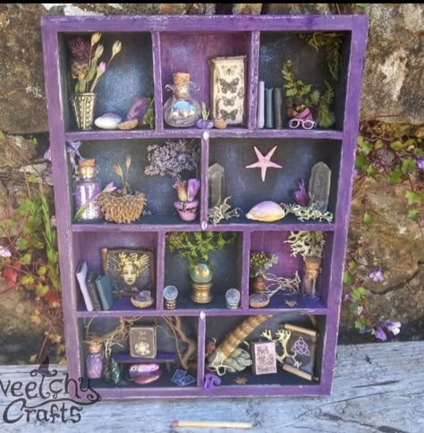 Miniature Display Ideas, Fairy Life, Halloween Shadow Box, Room Box Miniatures, Fairy Garden Miniatures, Cabinet Of Curiosity, Collection Displays, Altered Tins, Haunted Dollhouse