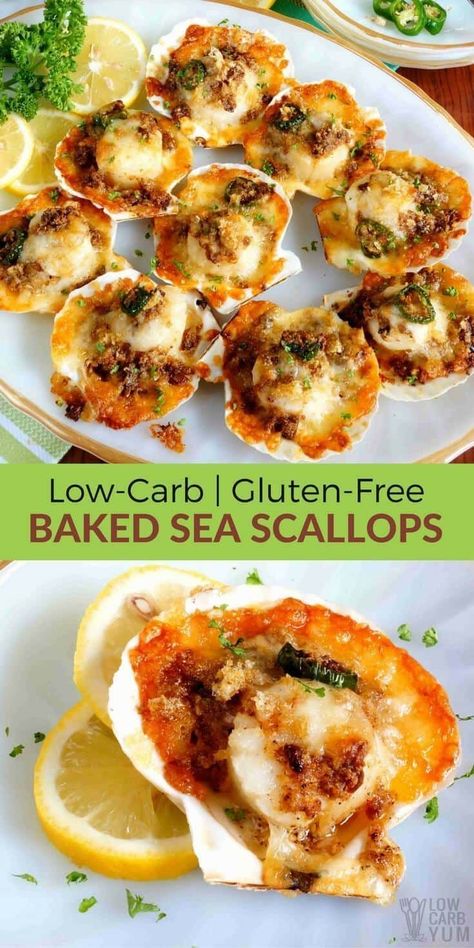 An easy baked sea scallops recipe with a crispy low carb and gluten free topping. Makes a fantastic keto friendly appetizer or main course. | LowCarbYum.com Keto Scallops, Sea Scallops Recipe, Meal Courses, Low Carb Seafood, Scallop Recipe, Seafood Casserole Recipes, Scallops Recipe, Keto Seafood, Baked Scallops