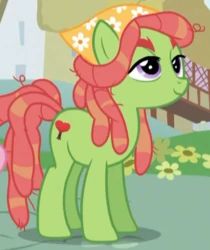 Tree Hugger | My Little Pony Friendship is Magic Wiki | Fandom Tree Hugger, Friendship Is Magic, Ponies, My Little Pony, On Twitter, Flowers