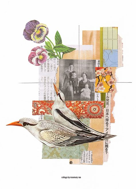 Japanese Collage Art, Birds Collage, Collage Self Portrait, Japanese Collage, Sketchbook Collage Ideas, Newspaper Collage Art, Magazine Collage Art Mixed Media, Sketchbook Collage, Magazine Collage Art