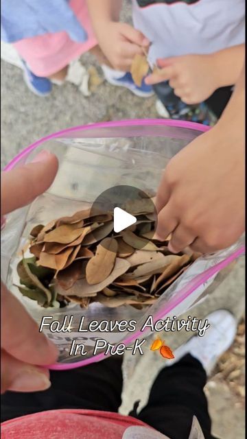 Lindsay Budnik ♡ Pre-K Teacher on Instagram: "I love mixing my lesson with an experience like we did here with our Fall Leaves lesson 🍂🧡 Students got to listen to a story about leaves/Fall, learn facts about Fall, create and interactive writing piece about Fall and engage in a hands on learning activity on the lead hunt 🍂 Then we topped it all off with a creative craft activity!!

Happy Fall Y'all 🧡" Leaf Lessons, Interactive Writing, Pre K Teacher, Learn Facts, Craft Activity, Leaves Fall, Creative Craft, Happy Fall Y'all, Hands On Learning