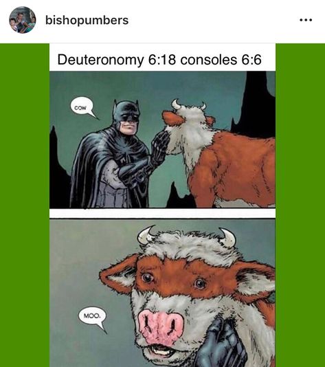 Cow Template, Justice League Funny, Online Girlfriend, League Memes, Jesus Memes, Memes Br, Bat Family, Gaming Memes, Dc Universe