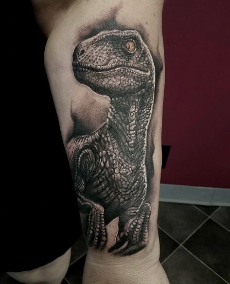 Raptor Skull Tattoo, Raptor Dinosaur Tattoo, Raptor Tattoo, Rebirth Tattoos, Velociraptor Tattoo, Dino Tattoos, Rebirth Tattoo, Dino Tattoo, Jungle Tattoo