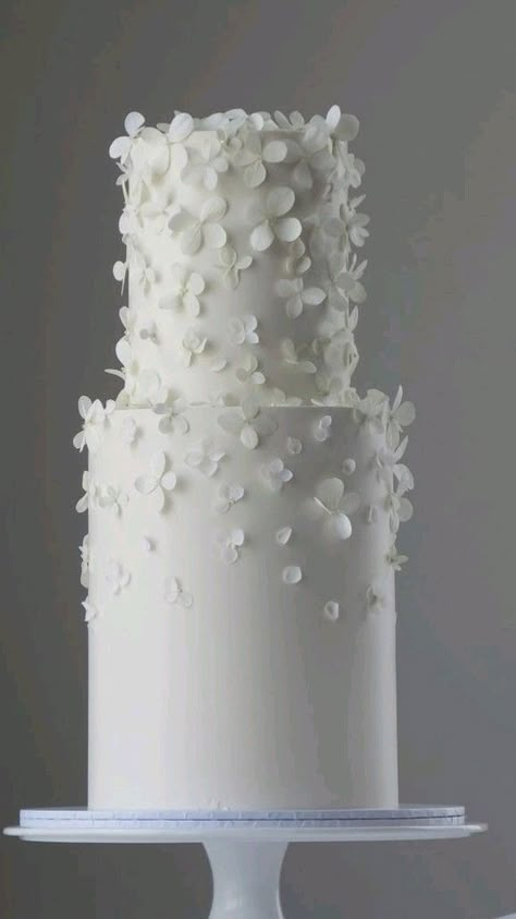 Textured Wedding Cakes, Wafer Paper Flowers, Birthday Cake Decorating Ideas, Elegant Modern Wedding, Elegant Birthday Cakes, Stunning Cakes, Amazing Wedding Cakes, Tiered Cake, Creative Birthday Cakes