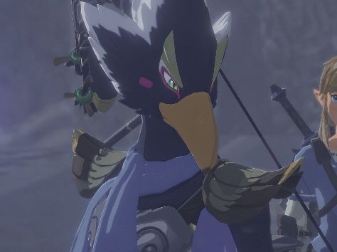 Revali Aesthetic, Rito Zelda, Revali Botw Icon, Revali Botw Pfp, Revali Botw Fanart, Revali X Link Botw Fanart, Revali Fanart, Revali Botw, Botw Revali