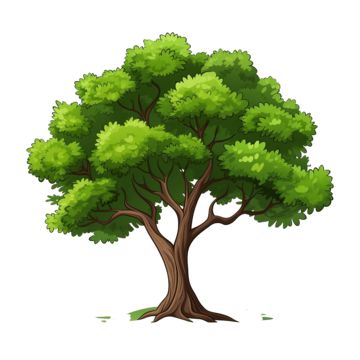 cartoon-tree,green-tree,tree,jungle,nature,leaves,leaf,garden,decoration,ornament,flower,floral,green,foliage,plants,watercolor,forest,icon,background,hawaii,bush,color,texture,natural,summer,spring,fresh,art,design,house Cartoon Tree Png, Forest Icon, Tree Jungle, Plants Watercolor, Cartoon Tree, Tree Cartoon, Jungle Nature, Icon Background, Ornament Flower