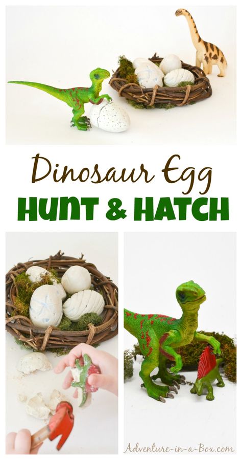 Dinosaur Egg Hunt & Hatch: Do you want to go on a dinosaur egg hunt? Make a bunch of DIY dinosaur eggs with kids and hide them outside. But wait, the fun just begins: they're hatching! Diy Dinosaur Eggs, Dinosaur Egg Hunt, Family Daycare, Diy Dinosaur, Dinosaur Egg, Kid Parties, Dinosaur Activities, Activities For Boys, Dinosaur Crafts