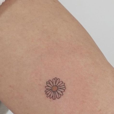 Outline Daisy Tattoo, Dainty Daisy Tattoo Simple, Small Daisy Flower Tattoos, Daisy Finger Tattoo, Tattoo Daisy Flower, Small Tattoos Flower, Tiny Daisy Tattoo, Dainty Daisy Tattoo, Daisy Tatoos