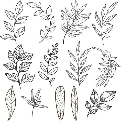 Foliage Drawing, Doodle Flowers, Drawing Vector, Leaf Drawing, Floral Drawing, Leaves Design, Leaves Vector, Hand Drawn Flowers, Design Drawing