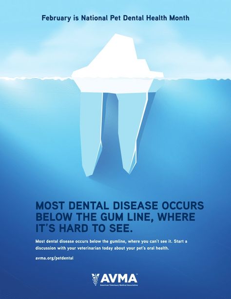 Health Day Creative Ads, Clinic Poster Design, Dental Clinic Poster, Dental Awareness, World Oral Health Day, Clinic Poster, Pet Dental Health Month, Dental Advertising, Dental Posters