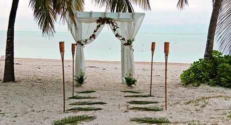 Cheap Destination Wedding, All Inclusive Beach Resorts, Best Places To Elope, All Inclusive Wedding Packages, Grand Bahama, All Inclusive Wedding, Bahamas Travel, Places To Elope, Cheap Vacation