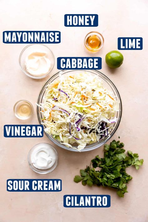 Creamy and tangy Fish Taco Slaw is an easy way to add crunch and flavor to your favorite fish tacos. This recipe is easy and comes together in minutes to add bright and fresh flavors with every bite. Made with cabbage slaw mix, fresh cilantro, and a tangy mayo lime dressing. This simple slaw is the perfect companion for your grilled or fried fish taco meal! Quick and easy taco topping idea. Slaw Mix For Fish Tacos, Fish Tacos With Cabbage Slaw Dressing, Fish Tacos Coleslaw Recipe, Fish Slaw Recipe, Fish Stick Tacos With Cabbage Slaw, Coleslaw For Fish Tacos Slaw Recipes, Fish Tacos Toppings, Slaw Recipes For Fish Tacos, Fish Taco Toppings Ideas