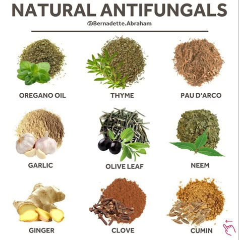 Antifungal Foods, Anti Fungal Diet, Medicinal Herbs Remedies, Natural Antifungal, Herbs Remedies, Medical Herbs, Nail Infection, Food Health Benefits, Fungal Nail