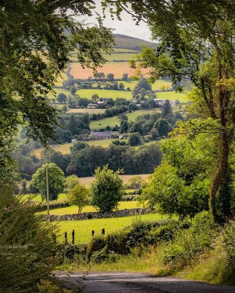 Visit Ireland on Instagram: "What a beautiful photo of Mount Leinster captured by @orla_b_mcevoy "If you have the words there's always the chance that you'll find the way ~ Seamus Heaney#. Mount Leinster is a 794-metre-high mountain in the Republic of Ireland. It straddles the border between Counties Carlow and Wexford, in the province of Leinster. #turismoirlanda #entdeckeirland #greenbutton #the_full_irish_ #ig_ireland_ #eire #irishcentral #the_full_irish_ #LoveIreland #icu_ireland #ib4ud Culture Worldbuilding, Ireland Core, Carlow Ireland, Ireland City, Ireland People, Backpacking Ireland, Trips Abroad, Ireland Culture, Ireland Hotels