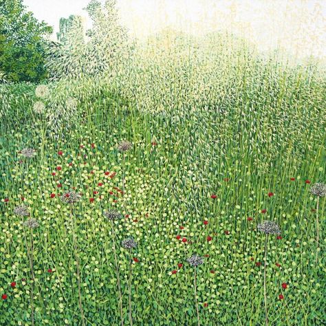 Limited edition prints – Susan Entwistle Grass Illustration, Garden Painting, Square Art, Limited Edition Art Print, Limited Edition Art, Image Frame, Paper Print, Pigment Ink, Art Plastique