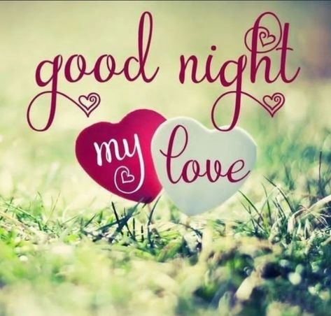 Goodnight Pics, Nite Quotes, Best Good Night Images, Good Night My Love, Night My Love, Good Night Status, Good Night For Him, Good Night Love Pictures, Best Good Night