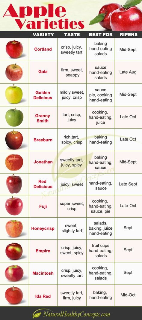 12 Apple Varieties and What They Are Good For Types Of Apples, Apple Varieties, Food Charts, Food Info, Food Facts, Fruit Recipes, Apple Recipes, Fruits And Veggies, No Cook Meals