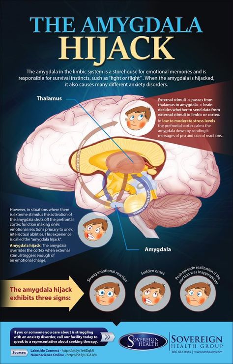 Kids today are under so much more stress than the previous two generations, and it often shows up in difficulties at school. Oftentimes when the brain is stuck in a stress response, it is very difficult for the child to get out of it. The following infographic shows how the amygdala gets highjacked, or stuck … Amygdala Hijack, Emotional Mastery, Brain Facts, Limbic System, The Human Brain, Brain Science, Counseling Resources, Brain Waves, Human Brain