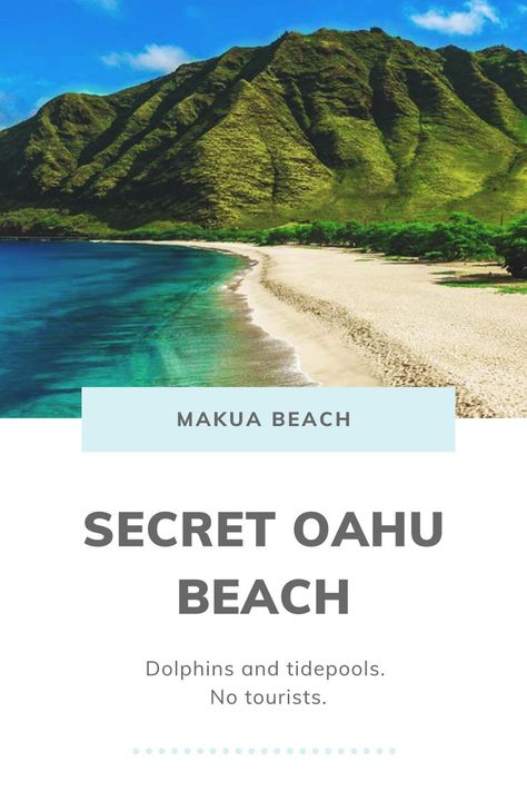 Oahu Things To Do, Makua Beach, Schools Of Fish, Hawaii Trip Planning, Hawaii Vacation Tips, Waikiki Hawaii Beach, Things To Do In Oahu, Hawaii Itinerary, Oahu Beaches