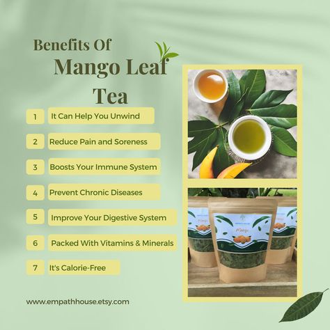 Have you heard about the great benefits of mango leaves? Aren't they amazing!? Visit us today at empathhouse.etsy.com or on ebay to check out or sales, free shipping, and great products! International shipping available. Benefits Of Mango, Mango Leaf, Mango Leaves, Mango Benefits, Mango Tea, Herbal Remedies Recipes, Organic Herbal Tea, Tea Benefits, Health Supplements