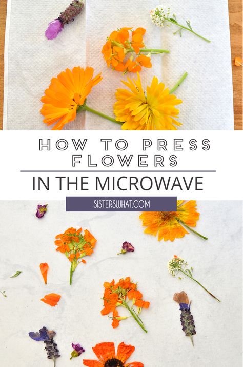 Press Flowers In Microwave, Microwave Flower Press, How To Dry Flowers, Pressed Flowers Diy, Press Flowers, Flower Mask, Dried Flowers Diy, Spring Sewing, Pressed Flower Crafts