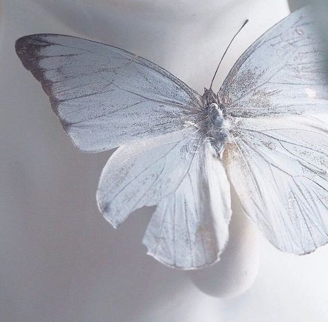 Donatella Dragna, Cybercore Aesthetic, Stephanie Garber, Ethereal Aesthetic, White Butterfly, Sky And Clouds, White Aesthetic, Blue Butterfly, Blue Aesthetic