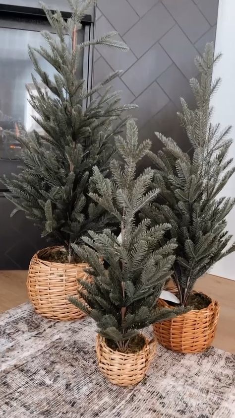 Small Fake Christmas Trees, Tree In A Basket Christmas, Small Christmas Tree In Basket, Christmas Trees In Baskets, Tree In Basket, Christmas Tree In Basket, Fake Christmas Trees, Small Christmas Tree, Porch Doors