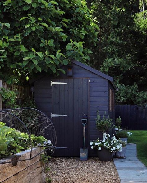 Shed Inspiration, Backyard Inspiration, Plants And Flowers, Garden Storage, Veggie Garden, Garden Cottage, Back Garden, Small Gardens, Garden Shed