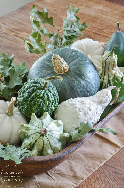 Isn't this dough bowl filled with fall squash, gourds, and pumpkins beautiful for the dining room table?  |  www.andersonandgrant.com Dough Bowl Centerpiece, Pumpkins And Gourds, Fall Centerpieces, Vibeke Design, Deco Nature, Fall Arrangements, Fall Deco, Green Pumpkin, Thanksgiving Tablescapes