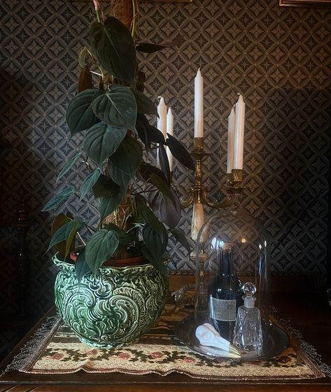 Night Table Decor, Gothic Living Room, Philodendron Micans, Gothic Room, Modern Gothic, Dark Academia Decor, Outdoor Bedroom, Over The Garden Wall, Dark Interiors