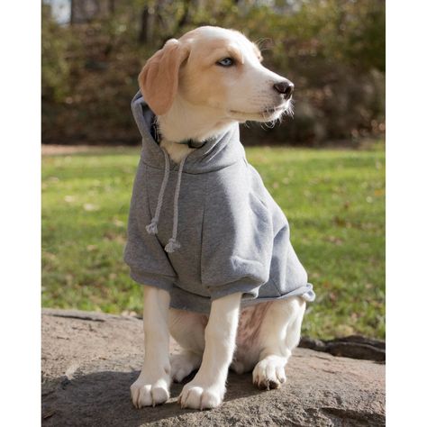 Fashion Plush Cotton Pet Hoodie Hooded Sweater Pet Sweaters, Cat Leash, Grey Dog, Dog Halloween Costumes, Reptiles Pet, Cat Hoodie, Pet Life, Dog Hoodie, Dog Sweater