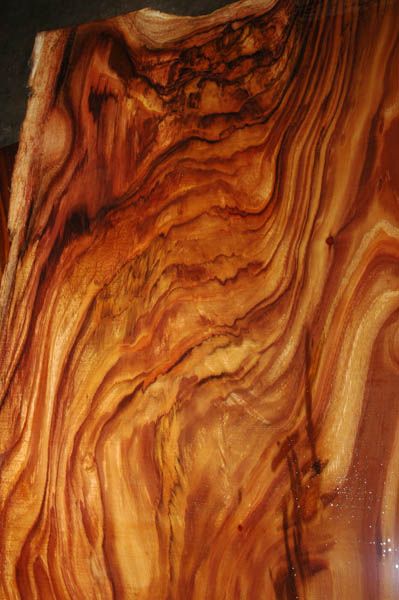 Koa Hardwood (Koa is a Beautiful Hawaiian tree, the only place it grows in the World is Hawaii.  A very respected Tree, it is considered a Sin if a live one is Cut down). Wood Lumber, Koa Wood, Wood Logs, Wood Creations, Wood Carvings, Raw Wood, Wood Products, Wood Patterns, Burled Wood