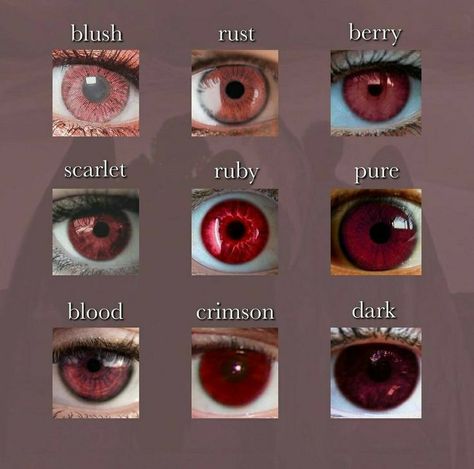 Red Eye Color, Rare Eye Colors, Woman Eyes, Eye Color Chart, Rare Eyes, Raw Vegan Diet, Color Aesthetic, Clothing Sketches, Character Board