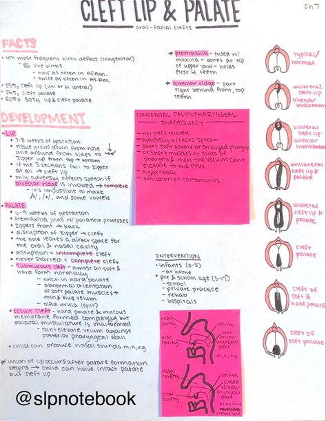 Voice Disorders Speech Therapy, Slp Praxis Study Guide, Speech Pathology Aesthetic, Slp Praxis, Speech Sound Development Chart, Slp Aesthetic, Speech Language Pathology Grad School, Voice Disorders, Praxis Study