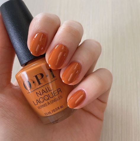 Terra Cotta Nail Polish, Opi Have Your Panettone And Eat It Too, Nail Color Solid, Rust Nail Color, Rust Colored Nails, Nail Ideas For Autumn, Emerald Green And Royal Blue, Fall Toe Nails, Burgundy Shades