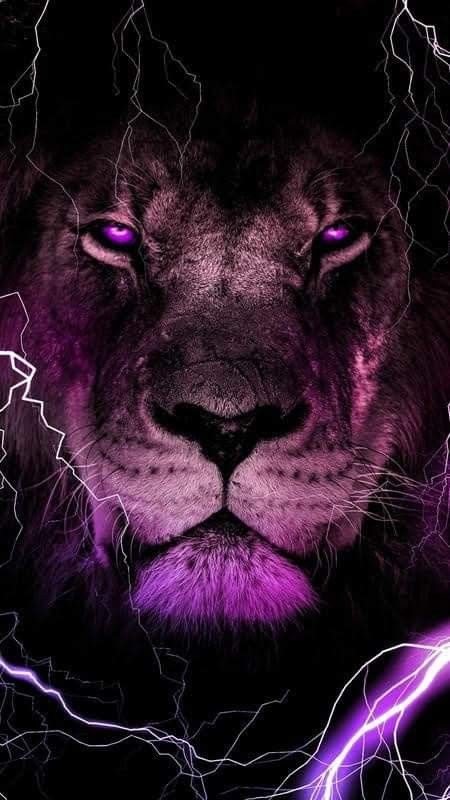 Purple Live Wallpaper, Calve Tattoos, Wallpaper Lion, Lion Wallpaper Iphone, Zodiac Leo Art, Rasta Art, Big Cats Photography, Lions Photos, Lion Wallpaper