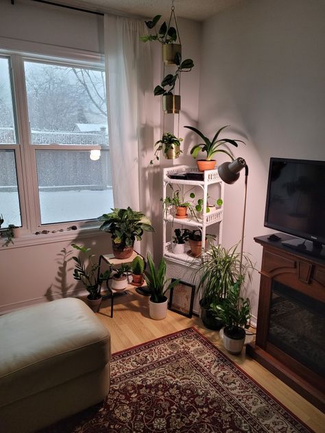 A photo of plants nicely arranged on a wicker shelf and two-step stool in a corner beside a window House Plant Corner, Plant Corner Ideas Living Room, Plant Corner Bedroom, Plant Corner Ideas, Painting Corner, Plant Corner, Inside A House, Corner Plant, Apartment Plants