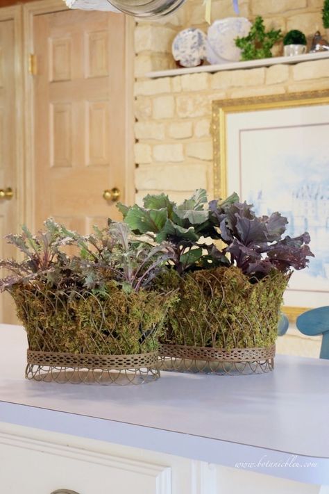 fall french country kitchen with stone wall decorated with ornamental kale in french wire baskets French Planters, Wire Basket Decor, Post And Beam House, Artificial Arrangements, Beam House, Farmhouse Baskets, Wednesday Series, Basket Makeover, Yellow Brick Home